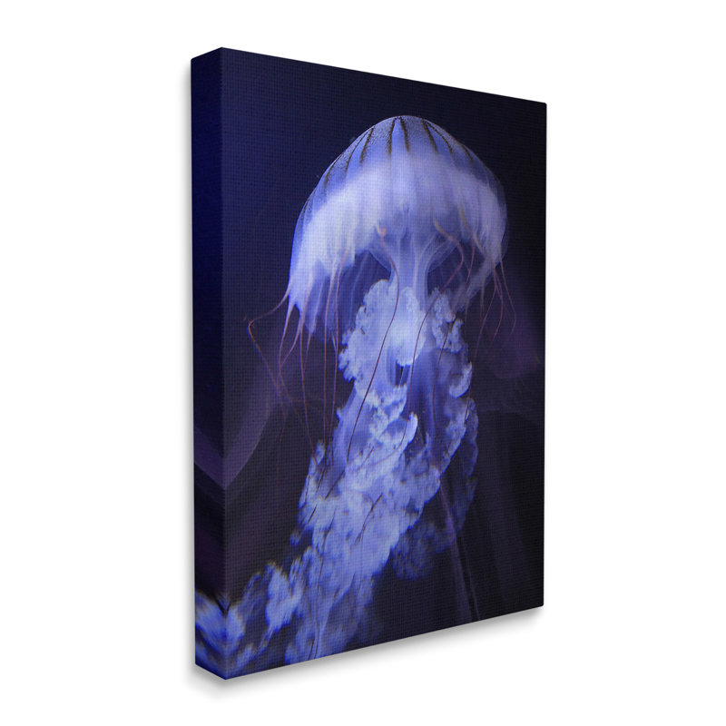 «Magical», détaillé, méduse, océan, vie marine, par Steve Hunziker, L 30 po x H 40 po, Toile tendue