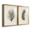 Palm Botanical I - ensemble de 2 impressions-1280205393-1211584037-1280204983