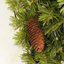 Arbre de Noël 72 'Jamarrie