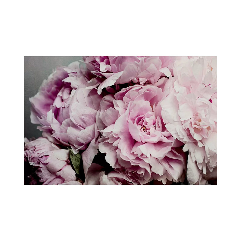 Peonies Galore II by Elizabeth Urquhart - Wrapped Canvas Print, 101.6 cm H x 66.04 cm W x 1.91 cm D