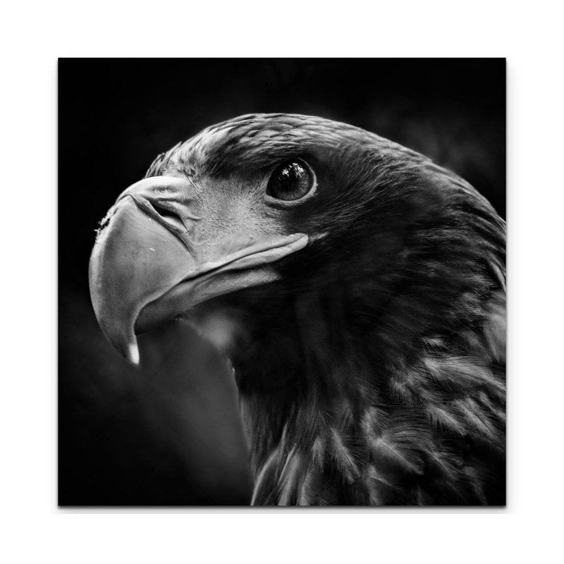 Wrapped Canvas Print, 90cm L x 90cm W