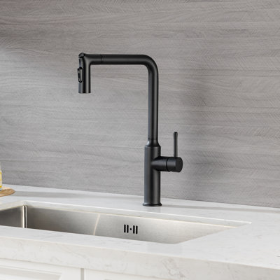 Rainlex Pull Down Kitchen Faucet