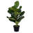 16.5 " H Faux Fiddle Leaf Fig Plant