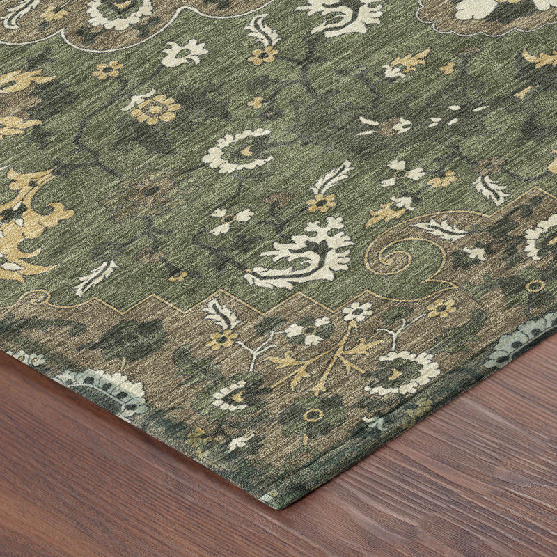 Machine Washable Indoor/Outdoor Chantille ACN2463 Traditional Rug, 9' x 12', Brown
