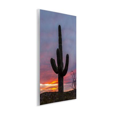 Plaque murale Arizona Cactus at Sunset, conception de Jeff Poe