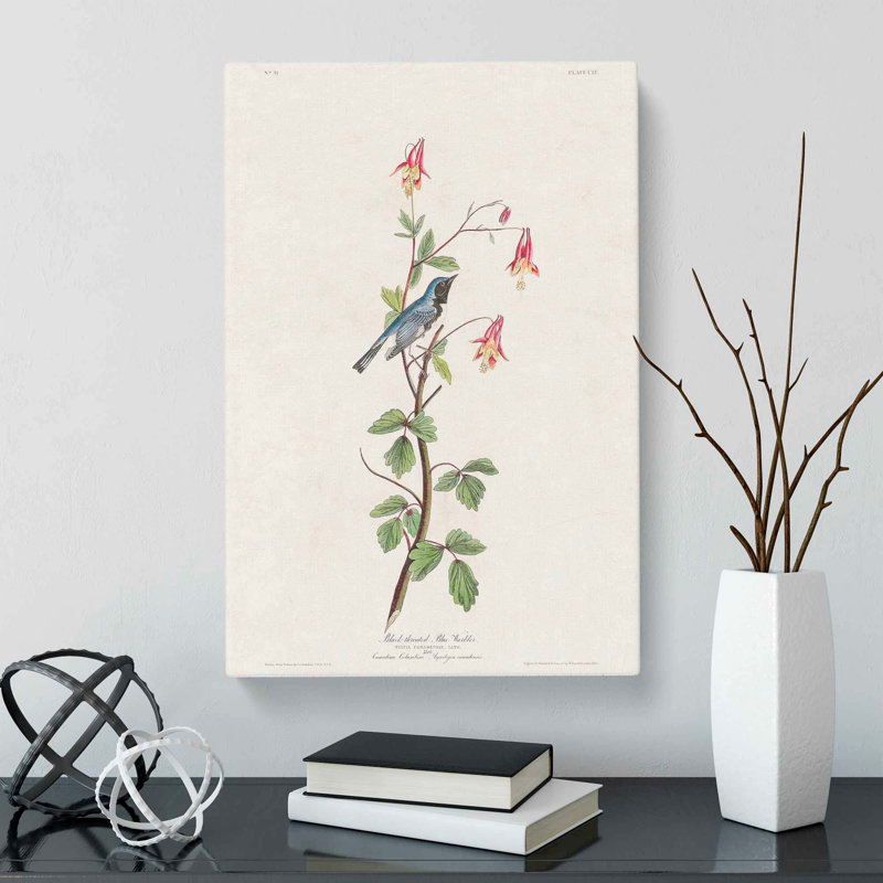 Black-Throated Blue Warbler Bird - Wrapped Canvas Painting, 50cm H x 35cm W x 3cm D