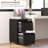 Liao 14.6'' Wide 2 -Drawer Mobile Steel File Cabinet-1654331570