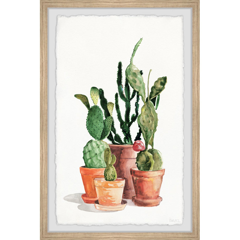 «Cactus Variété», reproduction encadrée, H 24 po x l 16 po x P 1,5 po