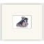 Crystal Iridescence 1 Print by Mat Sanders