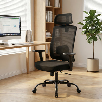 Ergonomic Mesh Task Chair