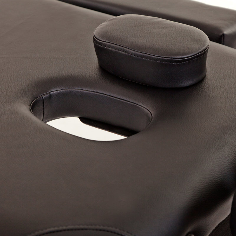 Massage Table Couch Bed