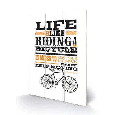 Riding a Bicycle 1 Piece Wall Art
