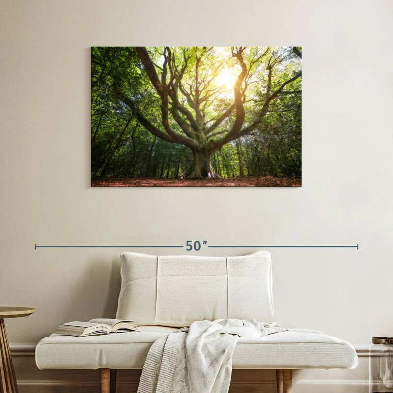 Harnek Big Old Broceliande Beech Tree, 26" H x 39" W