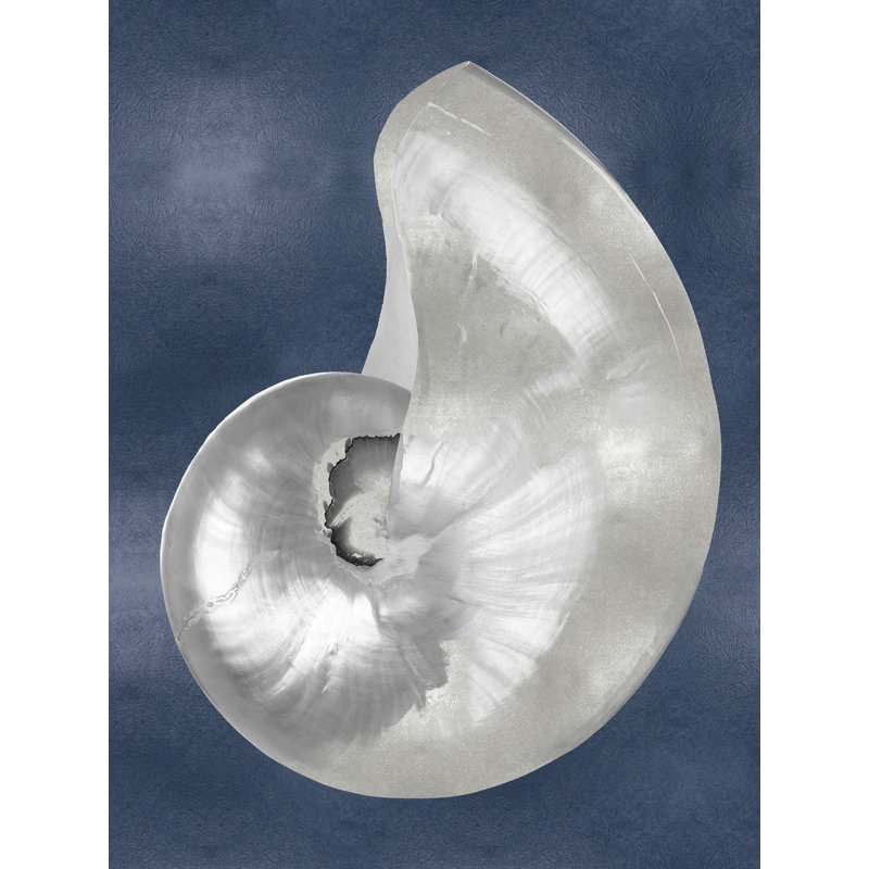 «Silver Shell on Indigo Blue I» par Caroline Kelly - reproduction d'art sur toile tendue, H 16 po x l 12 po