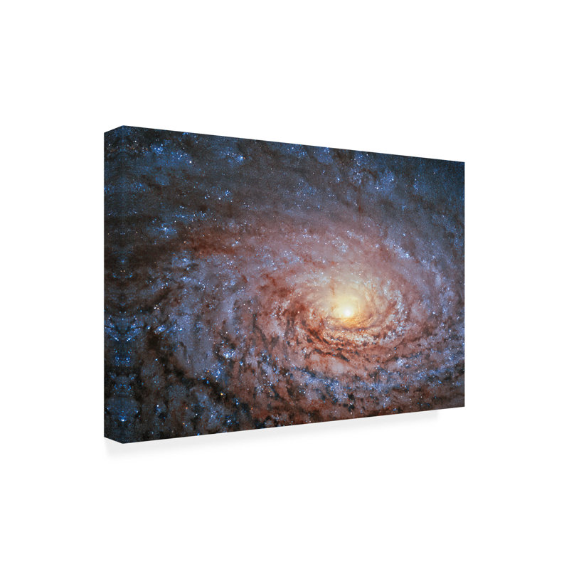 Art mural sur toile de tournesol galactique bolologique,, H 12 po x l 19 po