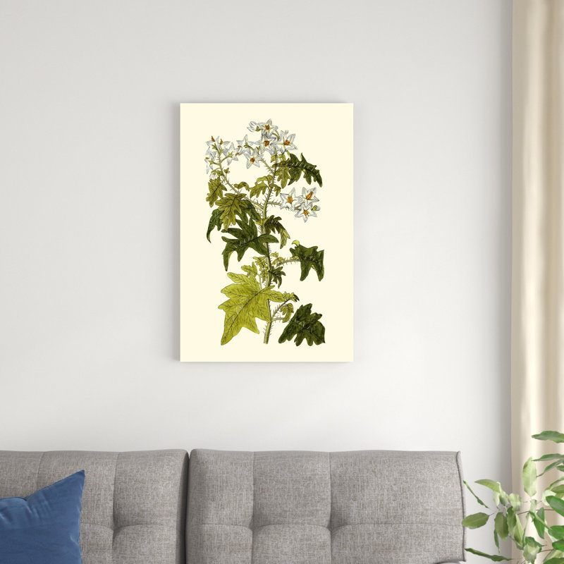 Olive Greenery VI - peinture sur toile tendue, H 30 po x l 20 po x P 1,25 po