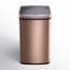 Nine Stars 13.2 Gallon Stainless Steel Motion Sensor Trash Can-38809682