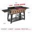 Barbecue au gaz et plaque chauffante à 6 brûleurs Royal Gourmet, sortie 78 000 BTU pour l'extérieur, bronze