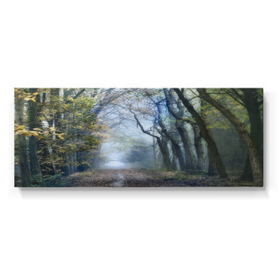 Forêt d'acacia - Toile tendue avec châssis - Prêt à accrocher