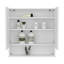 Armoire à pharmacie à double porte Hickory, idéale pour le rangement dans la salle de bain
