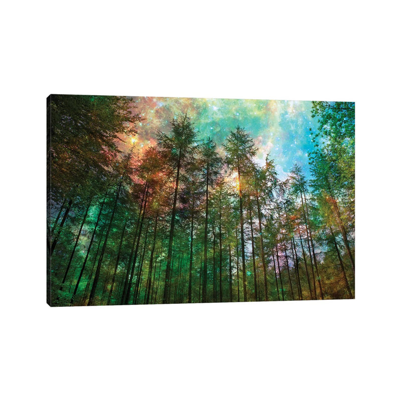 Forest Glow by Ros Berryman - Painting on Canvas, Wrapped Canvas, 30.48 cm H x 45.72 cm W