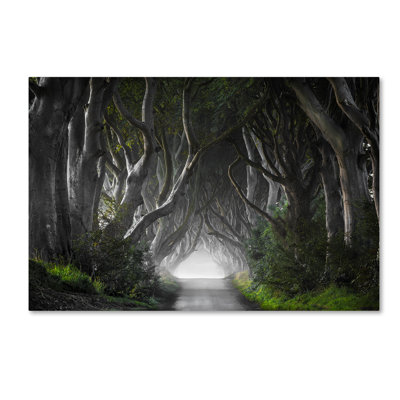 Art mural sur toile tendue - Nicola Molteni «Dark Hedges», art mural pour salon, chambre à coucher ou bureau - 30 x 47