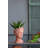 Head Bust Planter For Home, Garden Decor-550564235