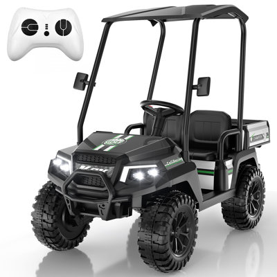 Chariot de golf pour enfants DEARAUTO 24V, voitures électriques 2 places 4 roues motrices avec télécommande, 3 vitesses, musique, lumières DEL, auvent détachable, grand coffre de rangement de 0,72 pi³, camion pour enfants de 3 à 8 ans