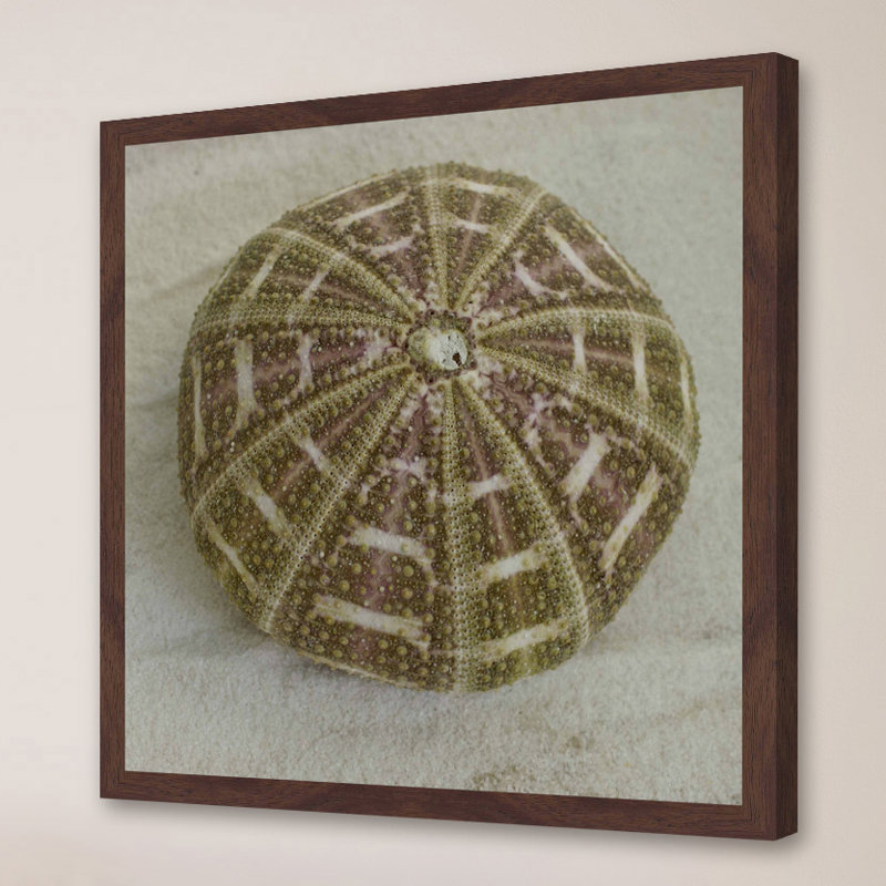 Judy Stalus - Single Picture Frame Print, 51cm H x 51cm W x 3.81cm D