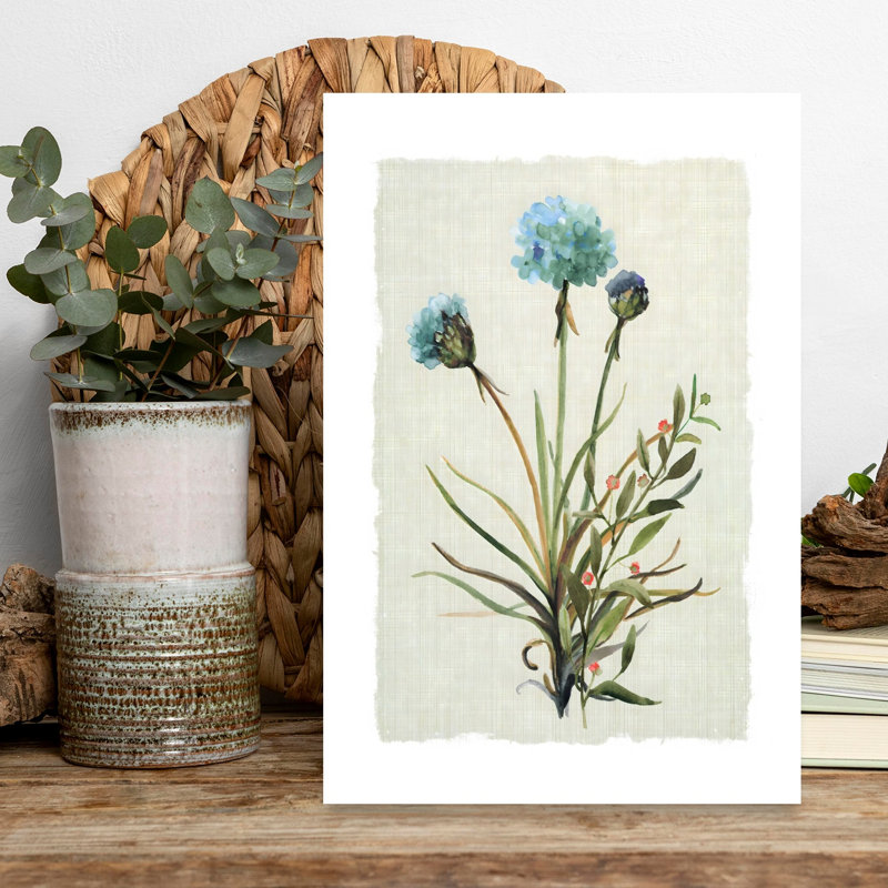 «Honeybloom Botanical I Delicate Ethereal Romantic Nature Flower», art mural, H 18 po x l 12 po