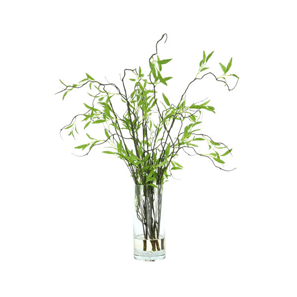 Magic Willow Branch In Vase