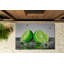 Non-Slip Outdoor Doormat