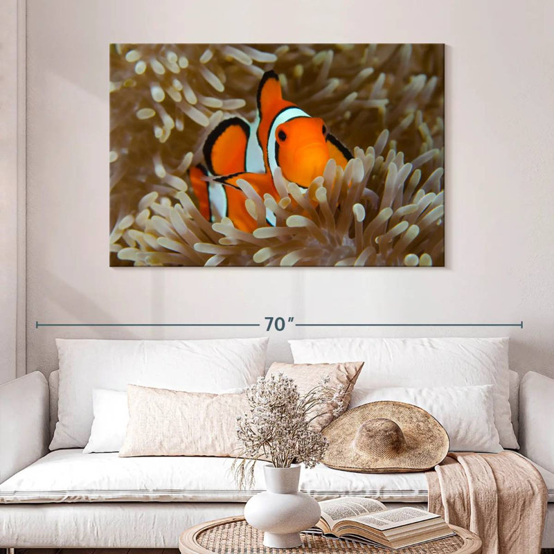 Brampt Wakatobi Anemonefish Pet, 32" H x 48" W