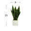 Fausse plante serpent 23 po Crestwood