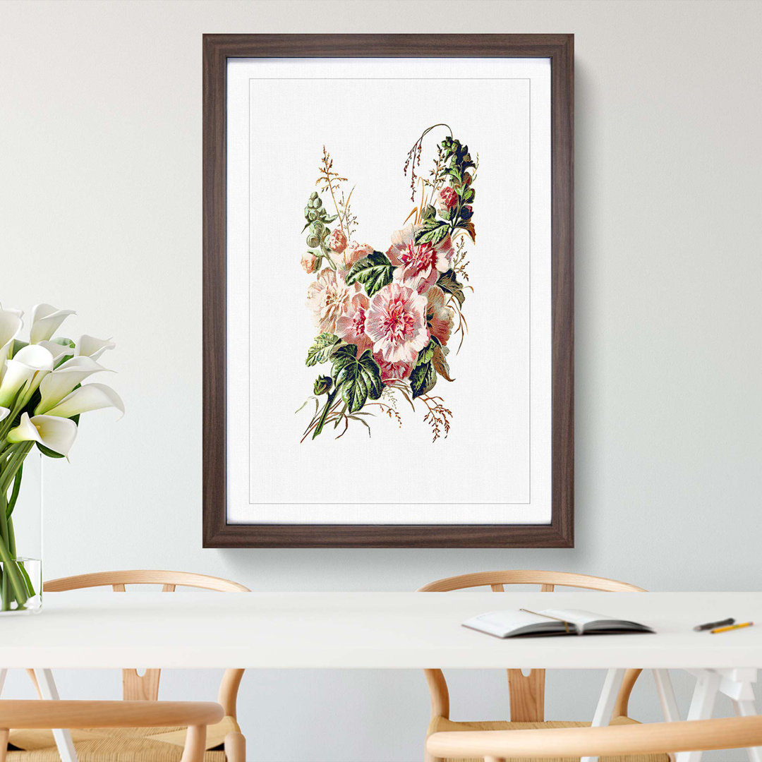 Hollyhock Flower Illustration - Framed Print