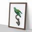 Marigold Lorikeet by F. Levaillant - Picture Frame Painting Print-55575877-55575876