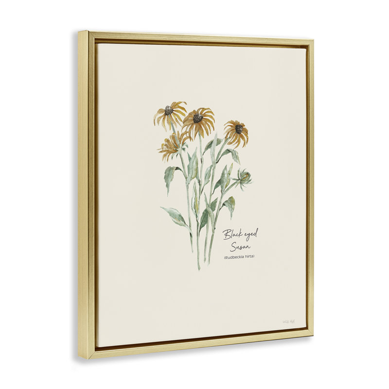 «Black Eyed Susans» par Cindy Jacobs, Cadre flottant métallique doré, H 31 po x l 25 po