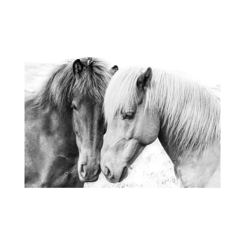 Sisi & Seb by Sisi & Seb - Wrapped Canvas Gallery-Wrapped Canvas Giclée, 20.32 cm H x 30.48 cm W