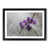 Black Framed selected