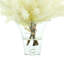 Arrangement floral Pampas dans un vase-1457981616-1457981617