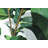 Faux Plants Artificial Tree 61'' Tall Fiddle Leaf Fig Tree in Black Pot Indoor for Home Office Décor