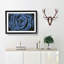 Pretty Blue Rose - Picture Frame Painting Print-56758327-56758330