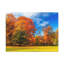 No Frame Print on Canvas-712823762