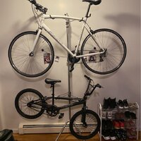 Delta Design delta Alloy Freestanding Wall Fully Adjustable 2 Bike Single  Pole Gravity Bike Storage Rack & Reviews - Wayfair Canada