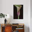 Calla Lily I, reproduction sur toile-32497721-72119271-72119272
