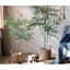 Arbre d'intérieur réaliste Nandina-1465964946
