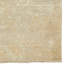 Jain Oriental Area Rug in Ivory-1760334621
