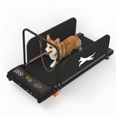 Tapis roulant pour petit chien Rovelle Édition 2026 avec moteur silencieux et écran ACL intelligent
