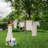 Brabantia Lift-O-Matic Outdoor Clothesline (164 ft) with Ground Spike, Cover, Clothespins and Bag-67236707
