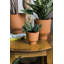 Gerrie Handmade Ceramic Pot Planter-73058651